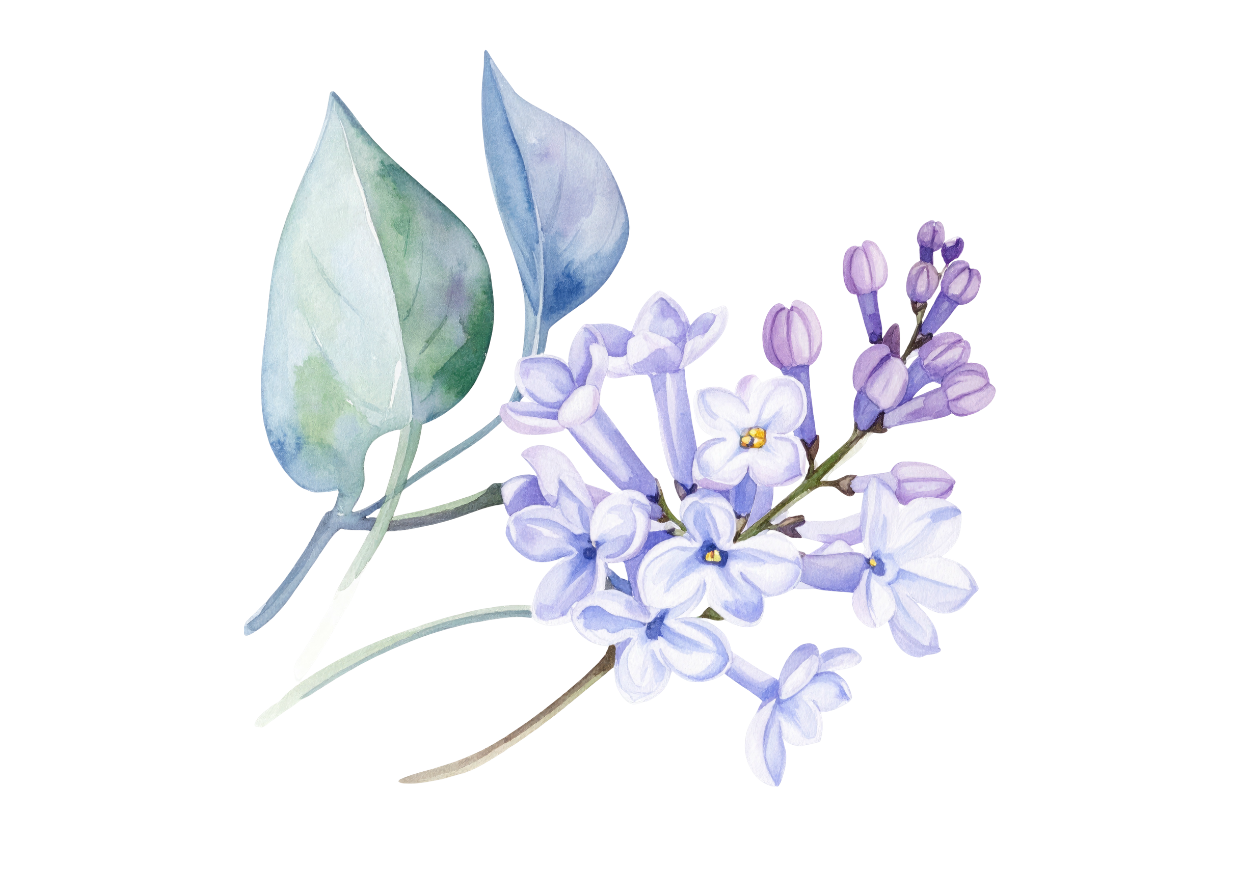 lavender